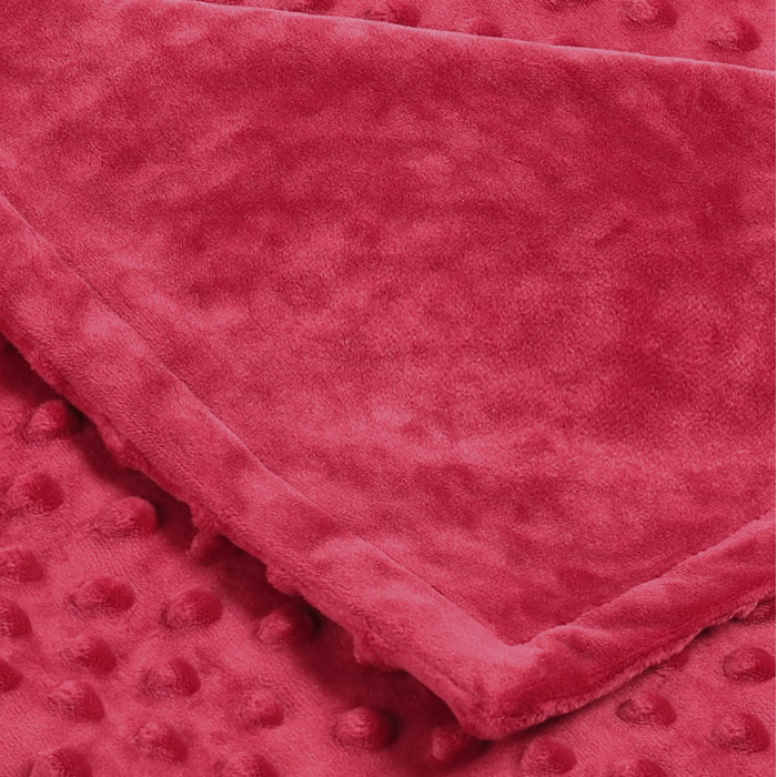 Latitude Run® Alls Weighted Throw Blanket Wayfair